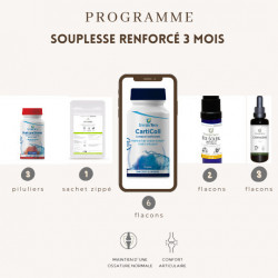 Programme Renforcé...