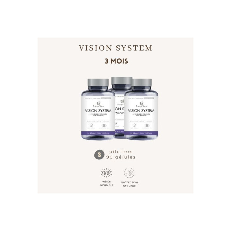 Vision System 3 mois