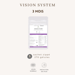 Vision System