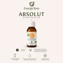 Absolut - Le Shampoing -...